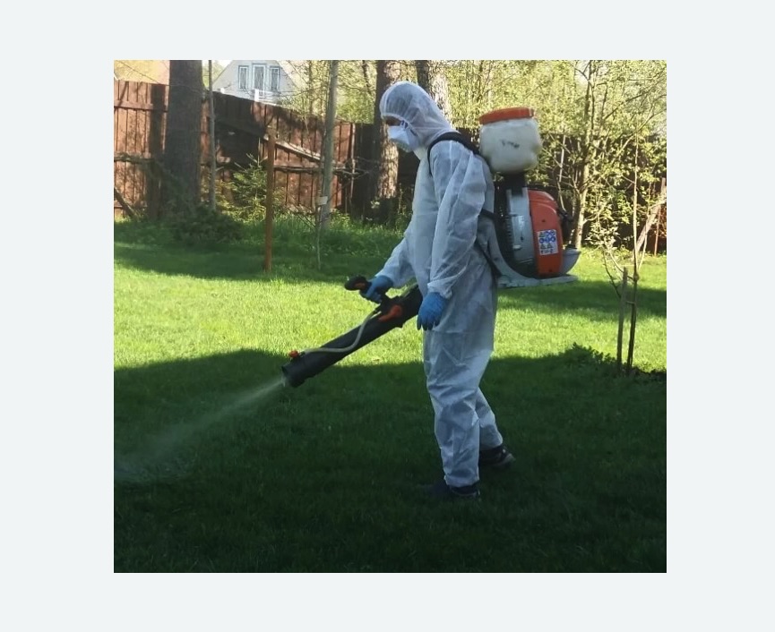 Обработка территории от клещей в Богучаре