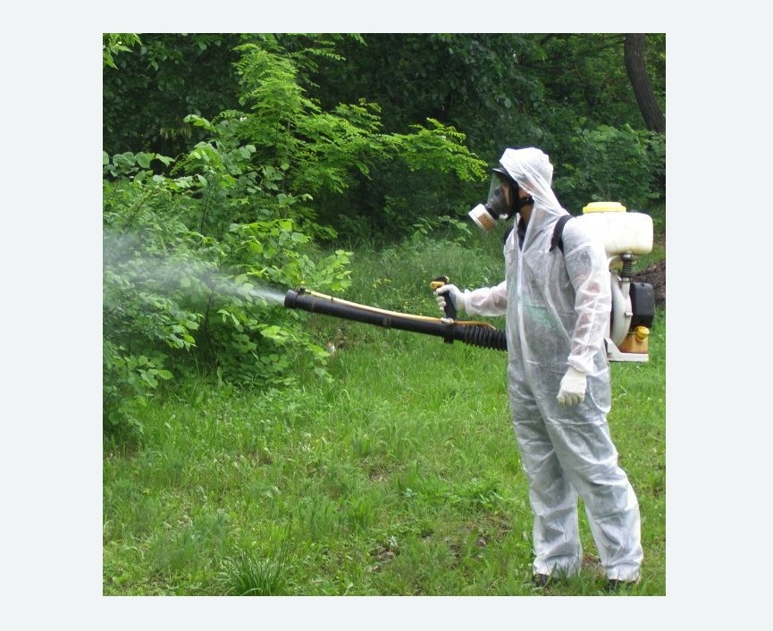 обработка территории от клещей в Богучаре