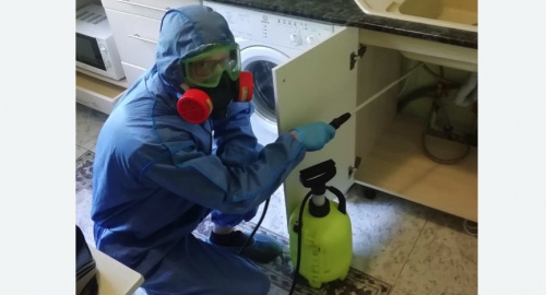 Уничтожение муравьев в квартире. Богучар