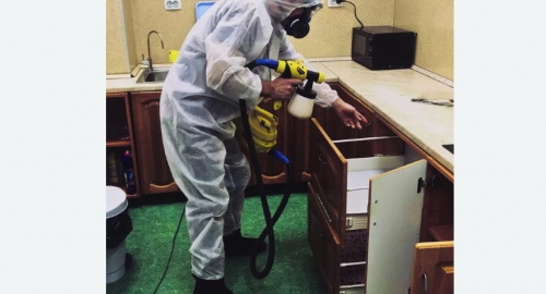 Уничтожение насекомых в квартире. Богучар