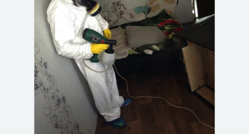 Обработка квартир от насекомых в Богучаре