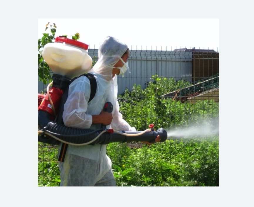 Акарицидная обработка территории в Богучаре