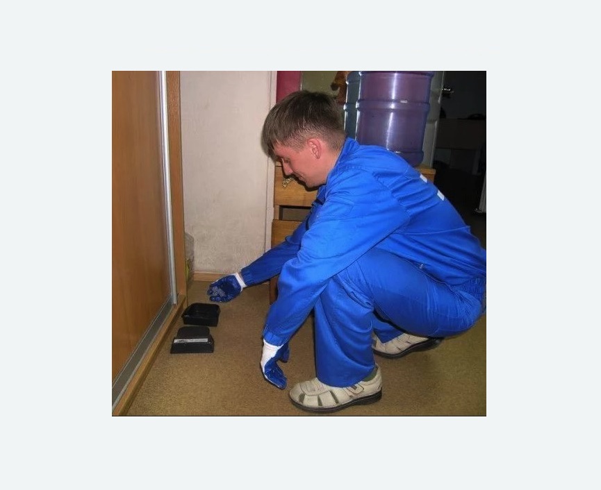 Дератизация крыс в Богучаре