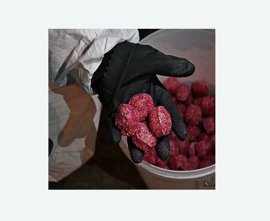 Обработка от крыс в Богучаре