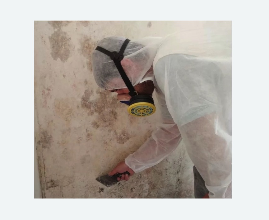 Обработка стен от плесени Обработка стен от плесени в Богучаре