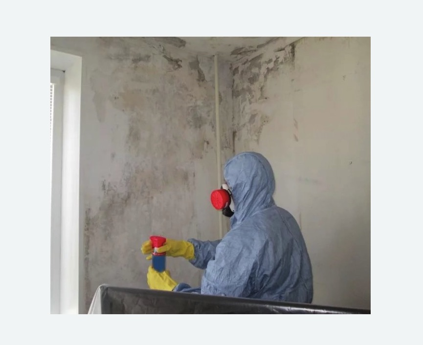 Удаление плесени в квартире Удаление плесени в квартире в Богучаре
