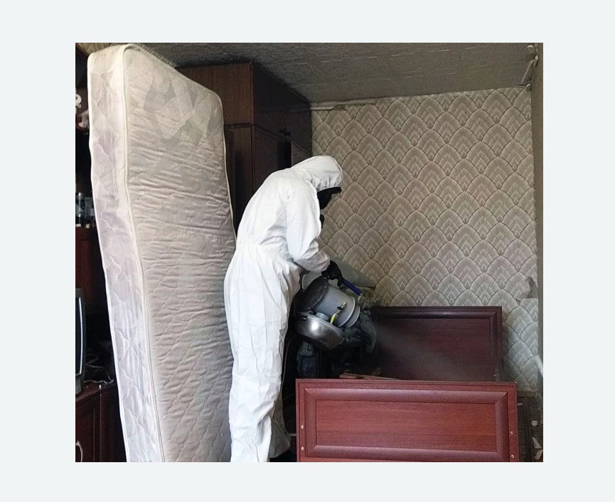 дезинфекция от клопов в Богучаре