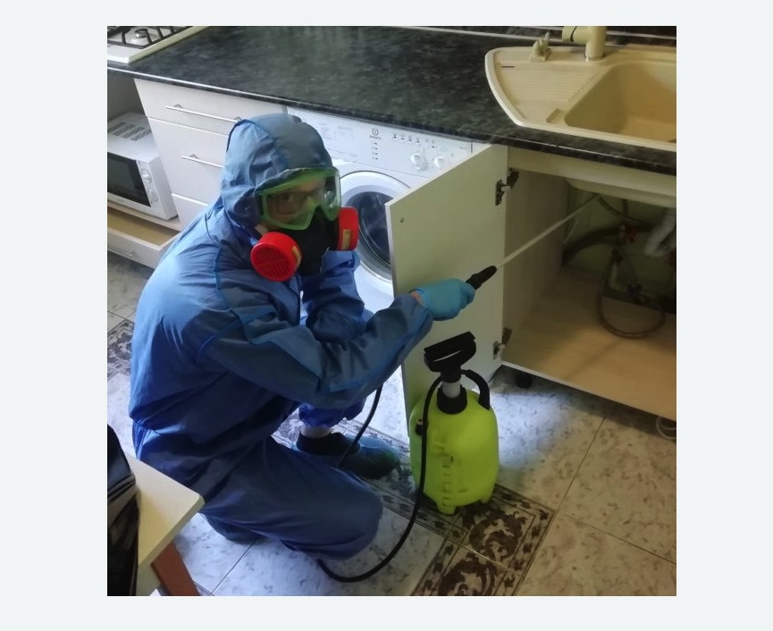 обработка от муравьев в квартире в Богучаре