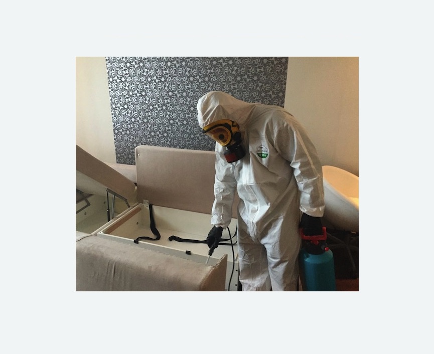 уничтожение клопов в квартире в Богучаре