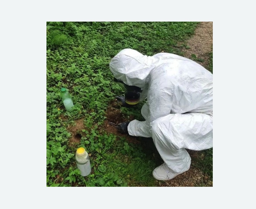 уничтожение кротов на участке в Богучаре