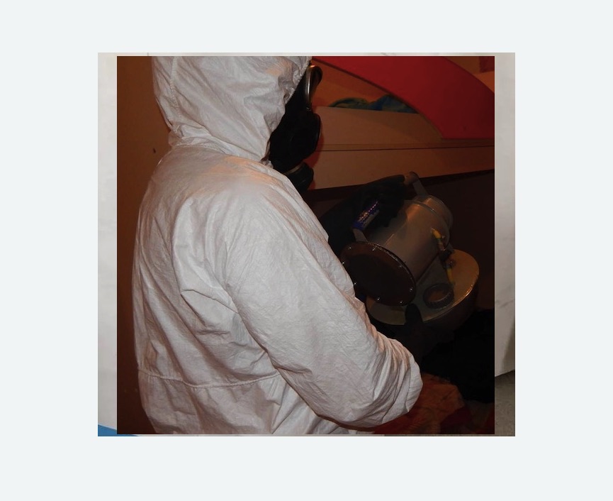 Дезинфекция от муравьев в Богучаре